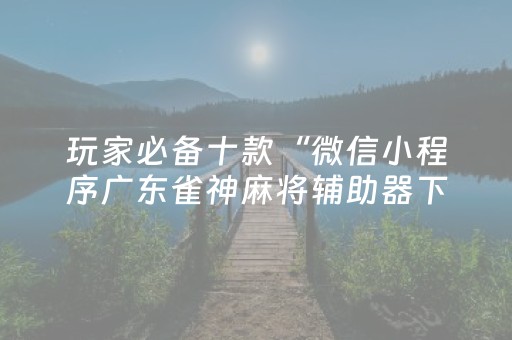 玩家必备十款“微信小程序广东雀神麻将辅助器下载”（充值会提高胜率么)