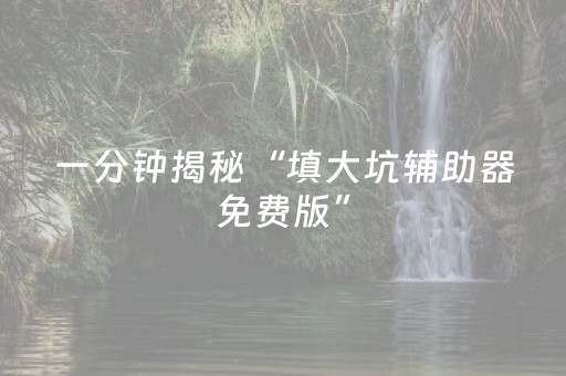 一分钟揭秘“填大坑辅助器免费版”（辅助器通用版)