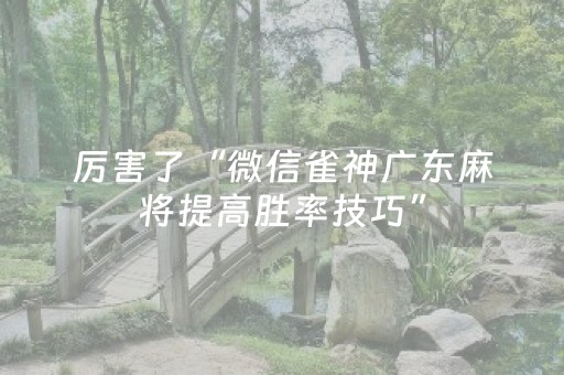 厉害了“微信雀神广东麻将提高胜率技巧”（有没有猫腻)