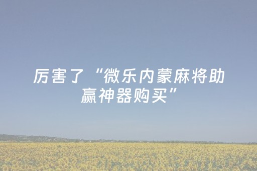 厉害了“微乐内蒙麻将助赢神器购买”（装挂怎么安装)