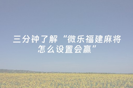 三分钟了解“微乐福建麻将怎么设置会赢”（做弊器软件下载)
