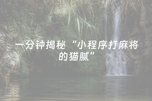 一分钟揭秘“小程序打麻将的猫腻”（是否能开挂)