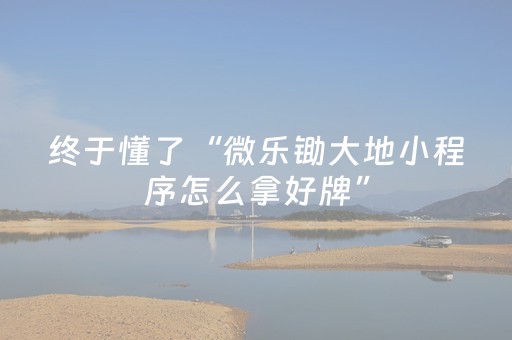 终于懂了“微乐锄大地小程序怎么拿好牌”（辅助器下载)