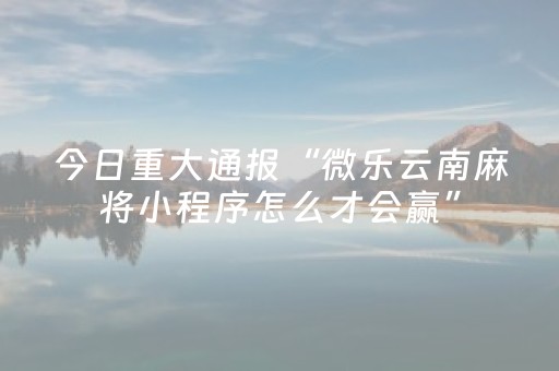 今日重大通报“微乐云南麻将小程序怎么才会赢”（如何让系统发好牌)