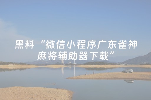 黑料“微信小程序广东雀神麻将辅助器下载”（必赢神器)