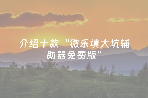 介绍十款“微乐填大坑辅助器免费版”（怎么让系统给你发好牌)