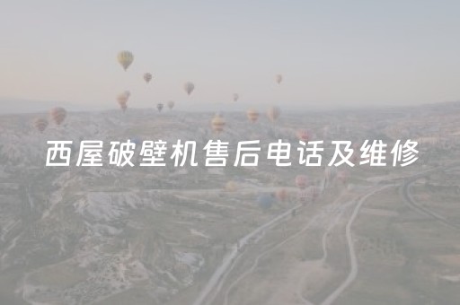 西屋破壁机售后电话及维修（破壁机坏了到哪里可以维修）