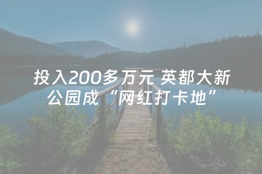 投入200多万元 英都大新公园成“网红打卡地”
