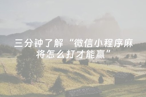 三分钟了解“微信小程序麻将怎么打才能赢”（通用挂软件多少钱)