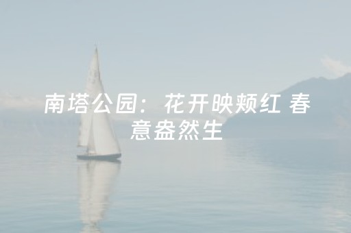 南塔公园：花开映颊红 春意盎然生