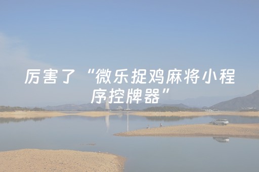 厉害了“微乐捉鸡麻将小程序控牌器”（开挂辅助器插件)