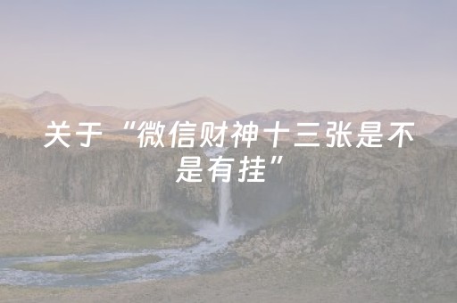 关于“微信财神十三张是不是有挂”（开挂辅助器插件)