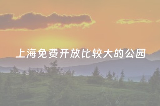 上海免费开放比较大的公园（上海免费的公园排名）