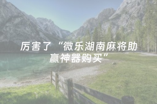 厉害了“微乐湖南麻将助赢神器购买”（透明挂辅助器)
