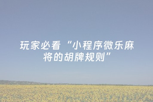玩家必看“小程序微乐麻将的胡牌规则”（软挂神器)