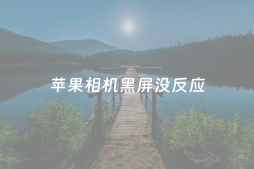 苹果相机黑屏没反应（苹果相机黑屏没反应怎么办）