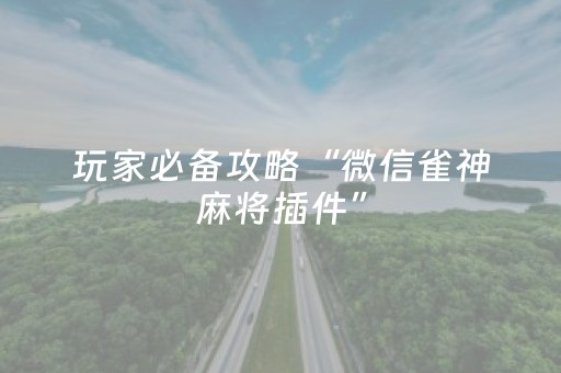 安装教程“雀神麻将怎么设置才能赢”（免费专用神器)