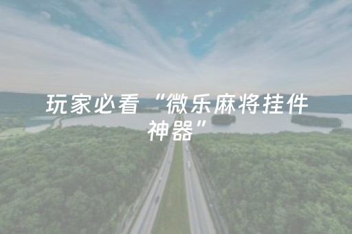 玩家必看“微乐麻将挂件神器”（究竟是不是有挂)