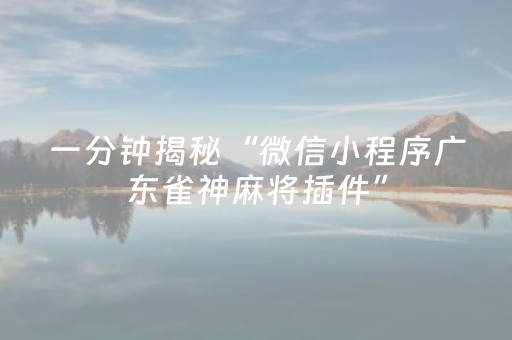 一分钟揭秘“微信小程序广东雀神麻将插件”（有没有猫腻)