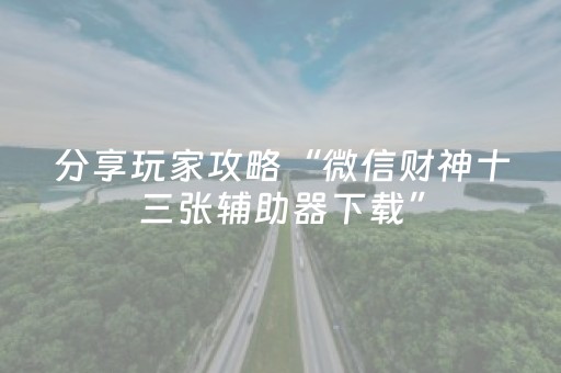 分享玩家攻略“微信财神十三张辅助器下载”（辅助器插件)