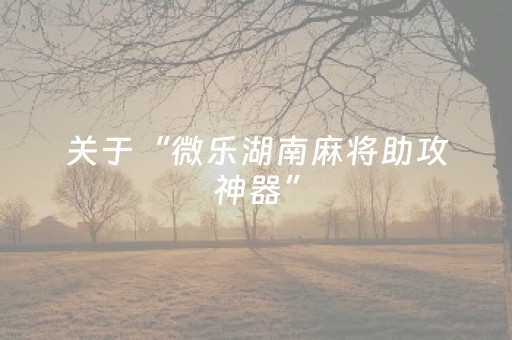 关于“微乐湖南麻将助攻神器”（助赢神器)