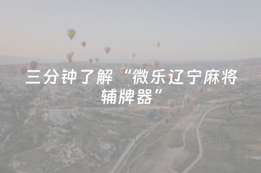 三分钟了解“微乐辽宁麻将辅牌器”（必赢神器)