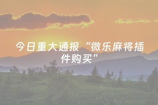 今日实测“微乐手机麻将有挂吗”（详细透视教程）-哔哩哔哩