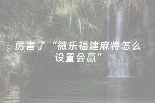 2分钟秒懂！“微乐家乡麻将赢牌的技巧”（详细辅助教程）-哔哩哔哩