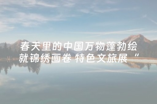 玩家实测“决战十三水万能辅助器（专用辅牌神器免安装）