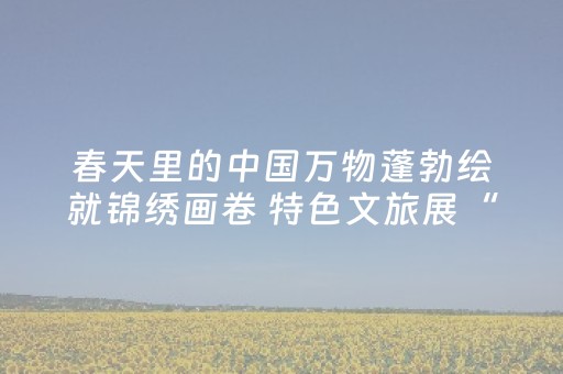 实测辅助“微信红包三元五个包控制尾数0到9的软件”（详细透视教程）-哔哩哔哩