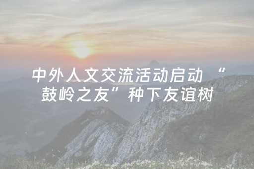 实测教程“麻将芯片控牌器免安装”（详细透视教程）-哔哩哔哩