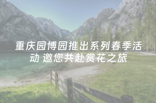 必看教程“抢红包可以控制尾数的技巧”（详细透视教程）-哔哩哔哩