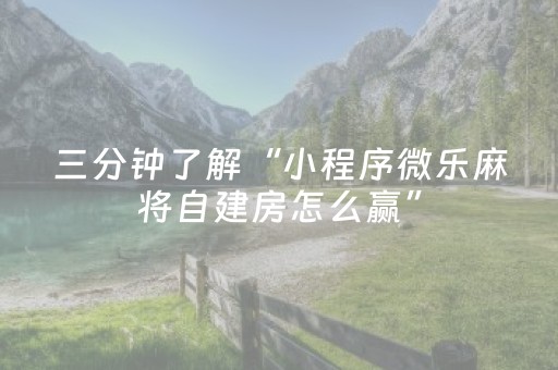三分钟了解“小程序微乐麻将自建房怎么赢”（辅助挂发牌规律)