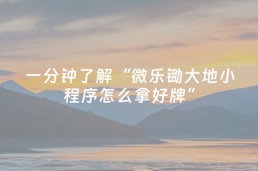 实测分享“微友麻将铺牌器最新免费”（详细透视教程）-哔哩哔哩