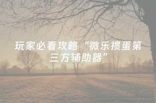 玩家必看攻略“微乐掼蛋第三方辅助器”（如何让系统发好牌)