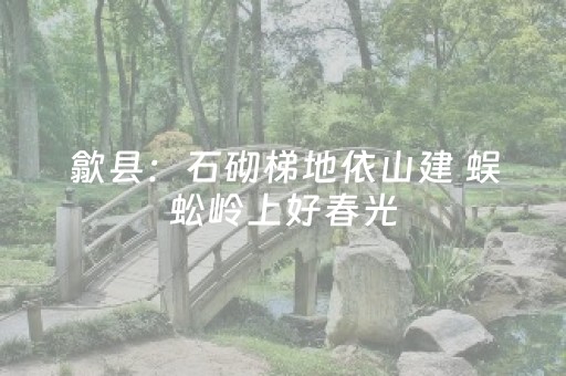 3分钟学会“手机麻将软挂神器（专用辅牌神器免安装）