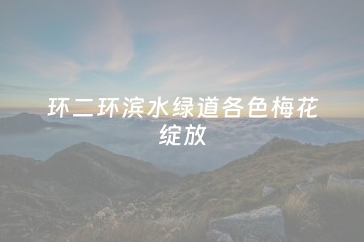 必看盘点揭秘“小程序麻将怎么设置才能赢”（做弊器软件下载)