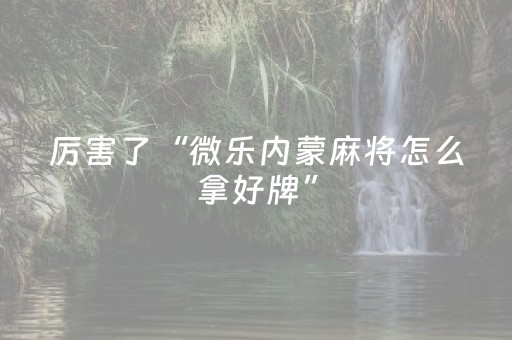 厉害了“微乐内蒙麻将怎么拿好牌”（开挂辅助插件)