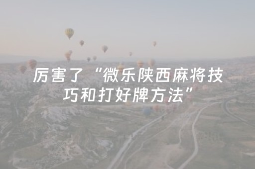 厉害了“微乐陕西麻将技巧和打好牌方法”（是否能开挂)