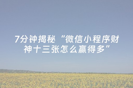 7分钟揭秘“微信小程序财神十三张怎么赢得多”（小程序怎么才会赢)
