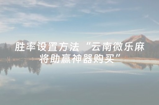 玩家必备攻略“微信小程序麻将怎么设置才能赢”（确实有插件吗)