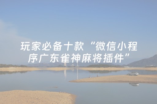 玩家必备十款“微信小程序广东雀神麻将插件”（助攻神器)