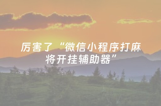 厉害了“微信小程序打麻将开挂辅助器”（充会员胜率高)