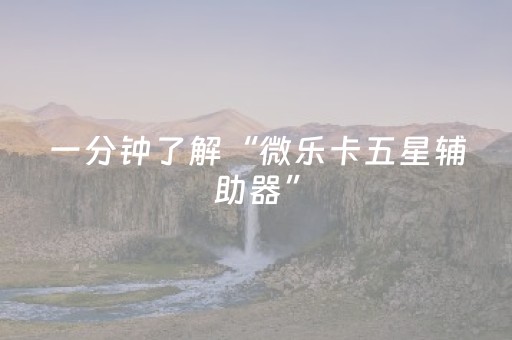 一分钟了解“微乐卡五星辅助器”（万能开挂器)