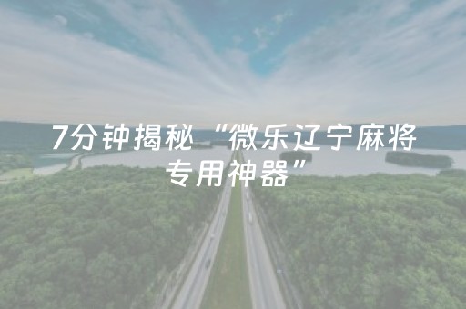 7分钟揭秘“微乐辽宁麻将专用神器”（软挂神器)
