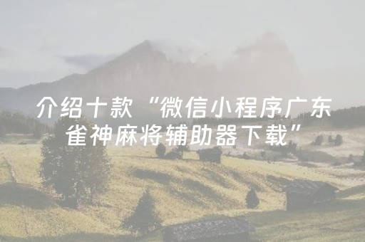 介绍十款“微信小程序广东雀神麻将辅助器下载”（插件开挂免费AI)