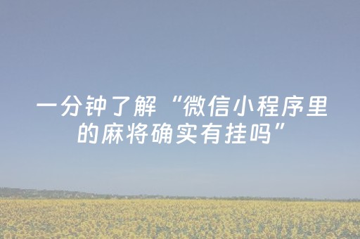 一分钟了解“微信小程序里的麻将确实有挂吗”（专用神器下载)