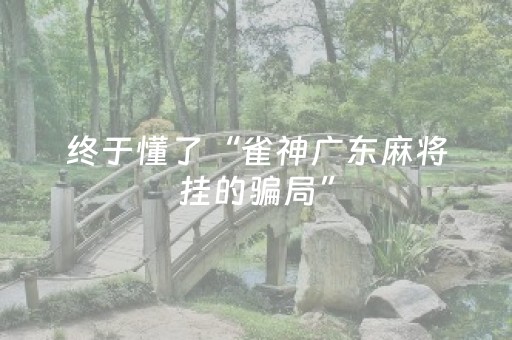 终于懂了“雀神广东麻将挂的骗局”（辅助神器免费)
