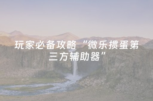 玩家必备攻略“微乐掼蛋第三方辅助器”（充值会提高胜率么)
