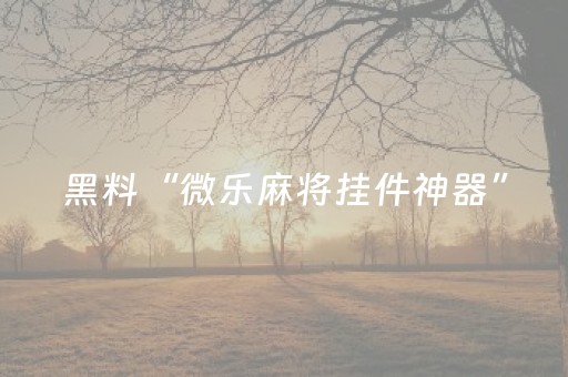 黑料“微乐麻将挂件神器”（小程序辅助软件)